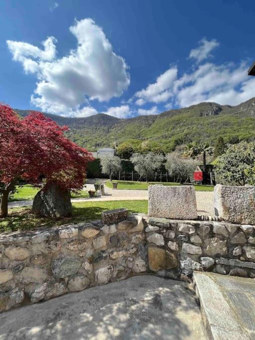 Villa Anna Onno Lake Como Luaran gambar
